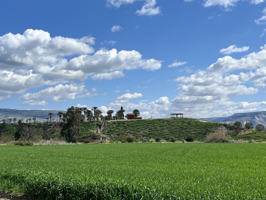 מתי נשתהה? ומה כל כך דחוף שאי אפשר לעצור לרגעים ופשוט להיות? (צילום: לילי מילת)